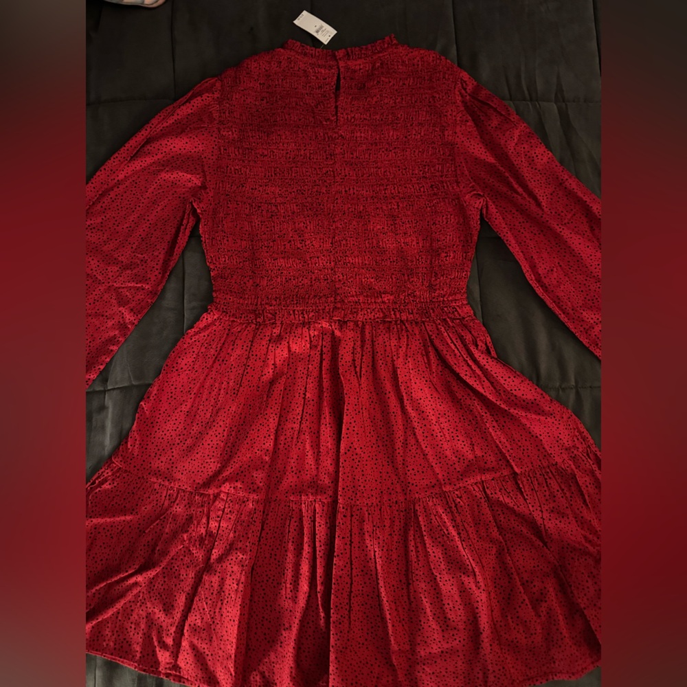 GAP Red Textured Dress - Picture 9 of 9